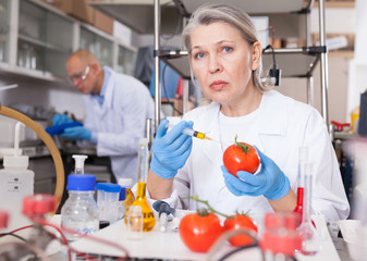 Female scientist injecting reagent into tomatoes