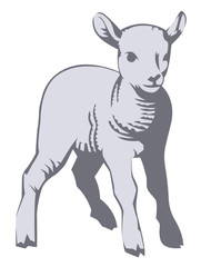 a vector illustration of a lamb