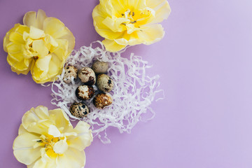 Easter eggs and yellow flowers on violet backdrop.