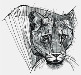 Lion Sketch - 326044002