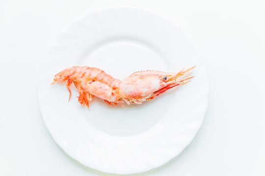 big cooked Shrimp king prawn on white plate isolated on white background