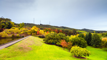 Autumn in Mount Lofty botanic garden