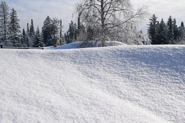 snow cover, snowdrifts in the forest