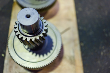 closeup gear spur teeth