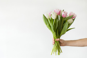 Female hand holding bouquet of fresh tulips.