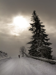  Winter landscape during the snowstorm in the Apuseni mountains