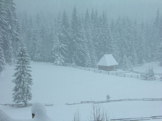  Winter landscape during the snowstorm in the Apuseni mountains