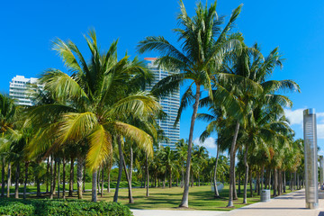 Fototapeta na wymiar South Pointe park in Miami beach, FL, USA