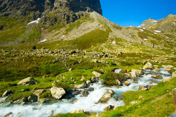 Fototapeta na wymiar Alps, Switzerland in spring with bright blue skies and beautiful clouds