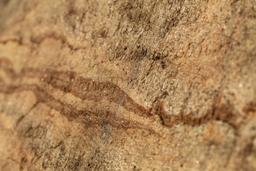 ancient inscriptions in stone in Sinhala letters