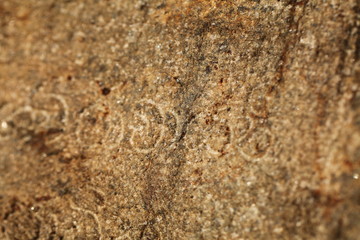 ancient inscriptions in stone in Sinhala letters