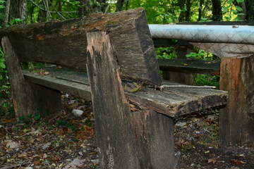 Naklejka premium bench in the forest