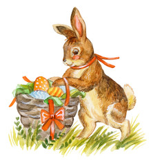 Fototapeta na wymiar Rabbit watercolor illustration 6