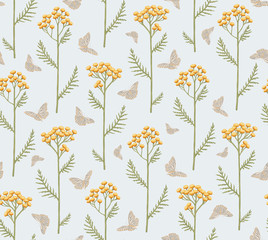 Seamless pattern with flowers of tansy and butterflies. Tanacetum on a light blue Background. Botanical hand drawn illustration