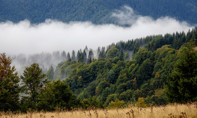 Beautiful morning mountains in fog. Summer mountains.