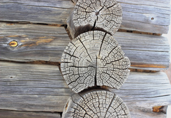 Close-up of the corner of an old building cut down from logs that from time to time have many cracks.