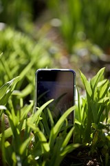 Téléphone nature