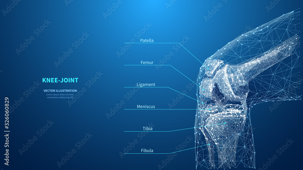Poster abstract polygonal knee-joint on blue background. infographic medicine technology innovation concept