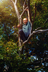 man in the old tree crown, old beech.