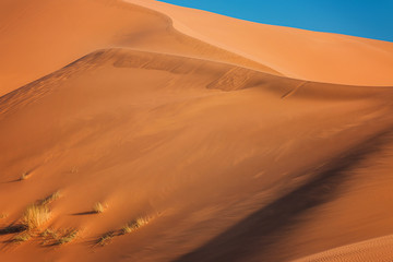 Fototapeta na wymiar Desert Sands Landscape of Merzouga, Sahara. The wind drives the sand.