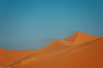 Fototapeta na wymiar Desert Sands Landscape of Merzouga, Sahara. The wind drives the sand.