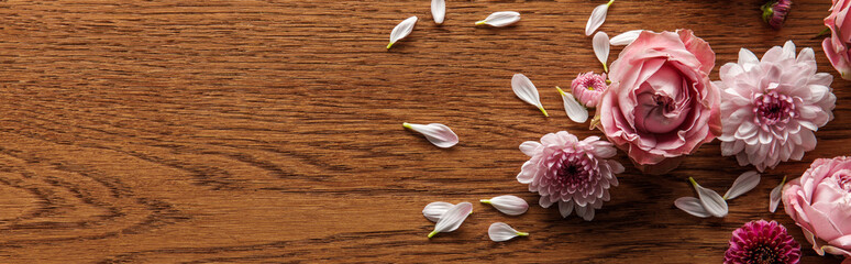 Obraz na płótnie Canvas top view of blooming pink spring flowers and petals on wooden background, panoramic shot