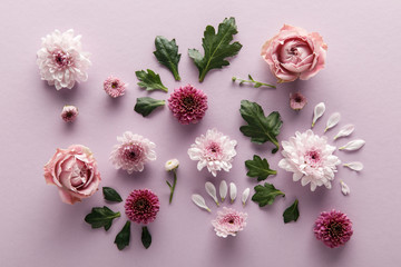 top view of blooming spring Chrysanthemums and roses with leaves and petals on violet background