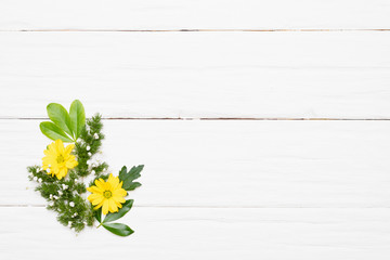 Chrysanthemum, gypsophila flowers and green plant leaves over white background. Top view floral abstract background with copy space.