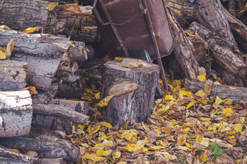 Fototapeta premium Autumn yellow leaves, wood branches and tools, Vysehrad, Prague, Czech Republic
