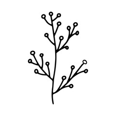 Branch with Doodle berries illustration.Black and white outline image. Botanical Doodle.A simple drawing of a line.Vector