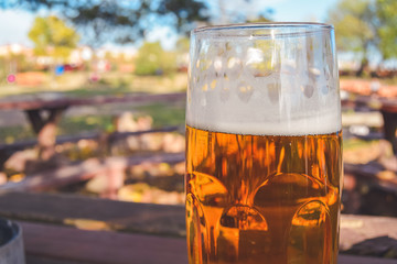 Draft beer under a tree in the park in autumn, Vysehrad, Prague, Czech Republic