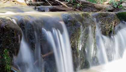 small waterfall in the forest
