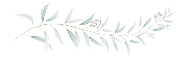 Watercolor eucalyptus leaves and branches © Artnizu