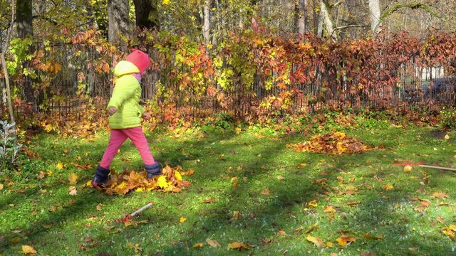 Naughty little girl kick raked leaves in garden. Crazy child frolic in yard