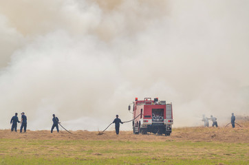 Firemen are working to put out fires in the fields, which have a lot of white smoke.
