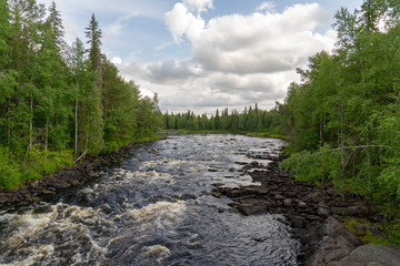 Fiume nella foresta finlandese