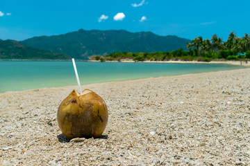 Brown coconut with drinking straw on sand on beach in tropics