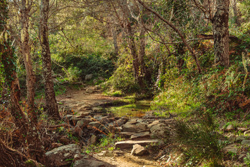 Honey River footpath in Algeciras, Cadiz, Spain