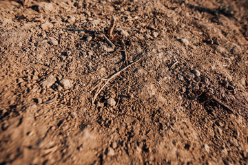 Surface of dry soil, texture, desert, arid climate, dried land, agricultural land without water