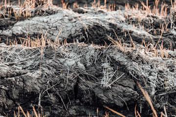 Cracked dry soil surface texture after burned wheat, desert, arid climate, dried land, agricultural land without water