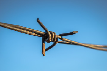 wire fence against the sky