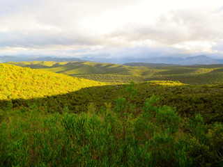 The Buffelsdrift Game Reserve in South Africa - CPT