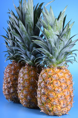 Fototapeta premium Three close up pineapples on blue background