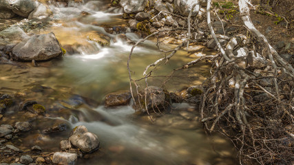 agua pura