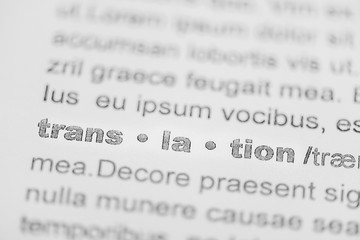 Fototapeta premium close up of word translation in text