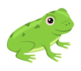 Cheerful frog cartoon on white background