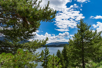 See aus dem Wald fotografiert mit Bergen im Hintergrund