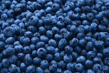 Fresh blueberry background. Texture blueberry berries close up.