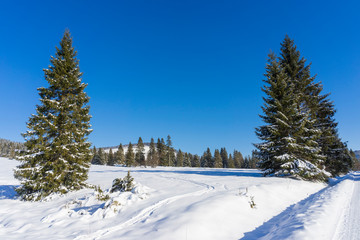 Winter scenery in the mountains. Around Oravice. Tatry. Slovakia.