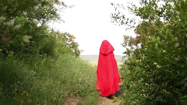  Little Red Riding Hood